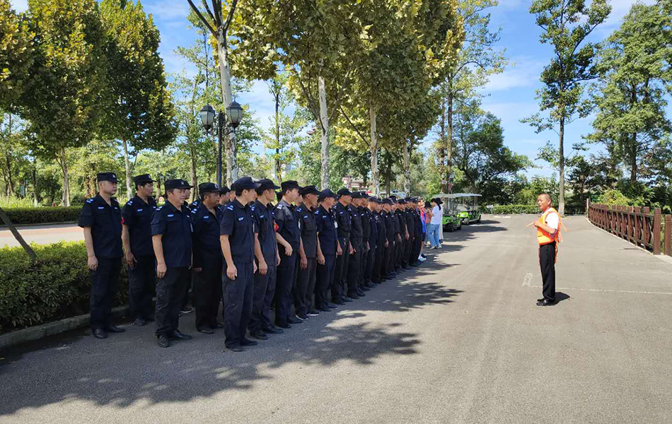 安防保安安全咨詢服務